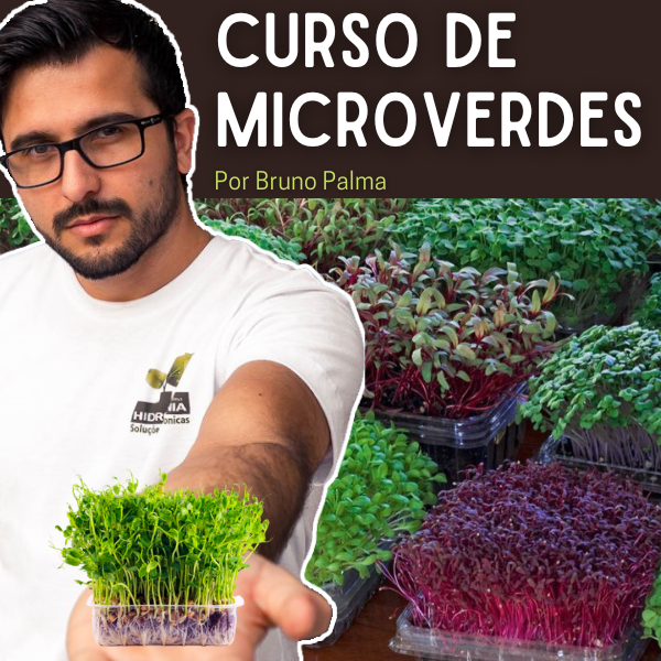 Curso de Microverdes - Por Bruno Palma